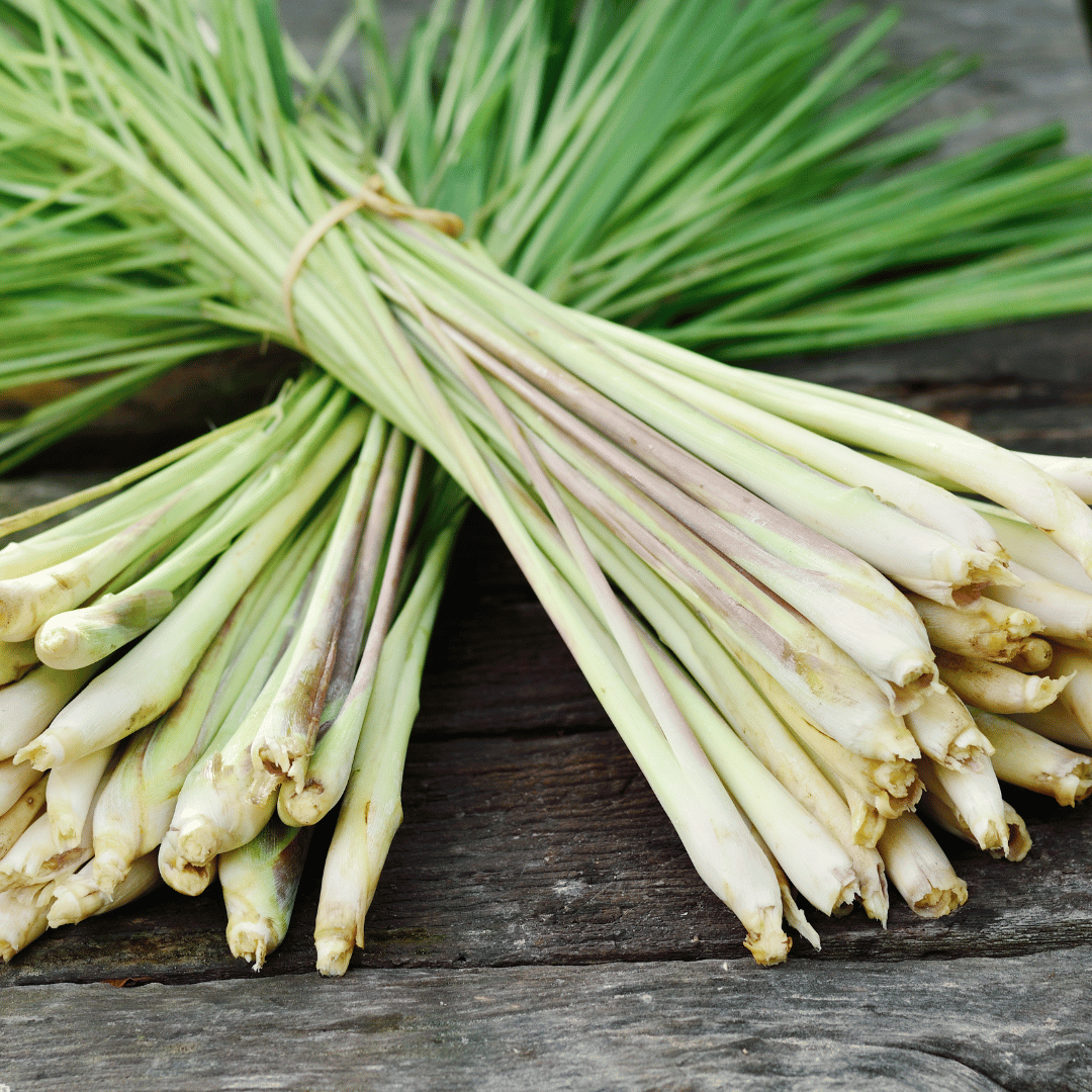 Lemongrass