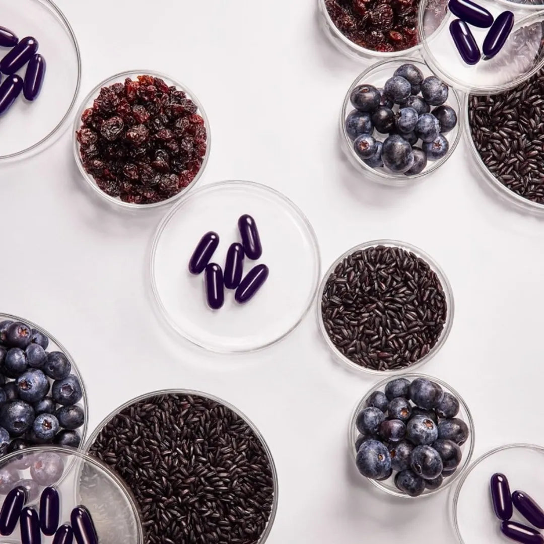 ageLOC Reset Black Rice, Bilberry Black Currant